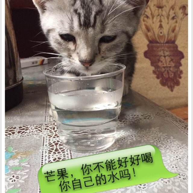印第安纳州哪里可以做假的